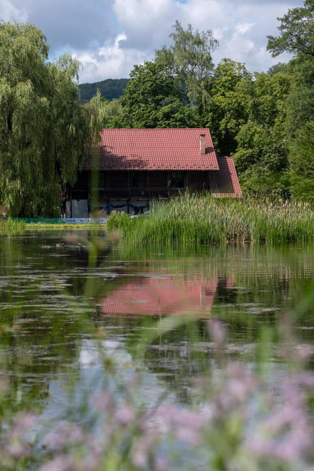 Rozin- Klimatyczne Domki Caloroczne I Jura Krakowsko-Czestochowska Villa Krzeszowice Exterior foto